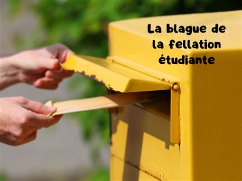 fellation etudiante